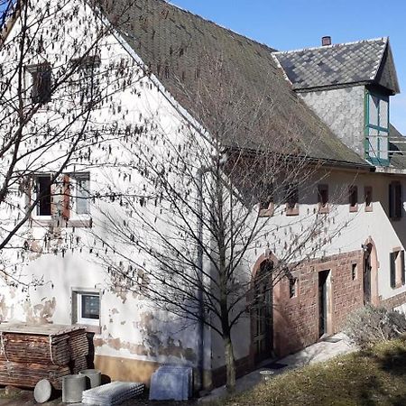 Nordiques De La Welche Villa Orbey Bagian luar foto