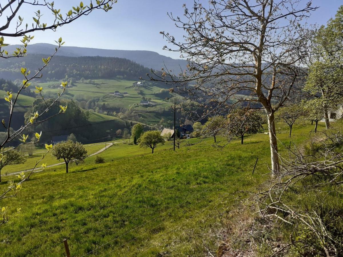 Nordiques De La Welche Villa Orbey Bagian luar foto