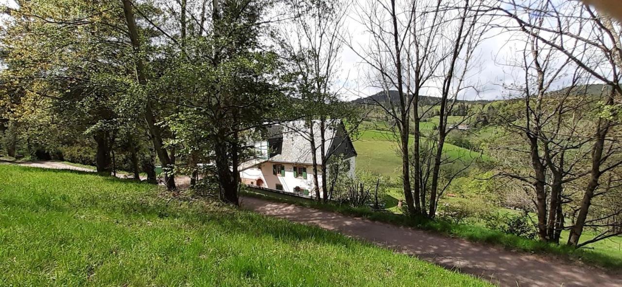 Nordiques De La Welche Villa Orbey Bagian luar foto