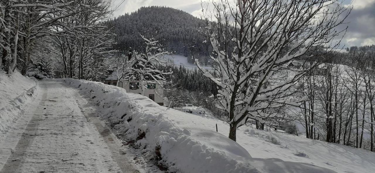 Nordiques De La Welche Villa Orbey Bagian luar foto