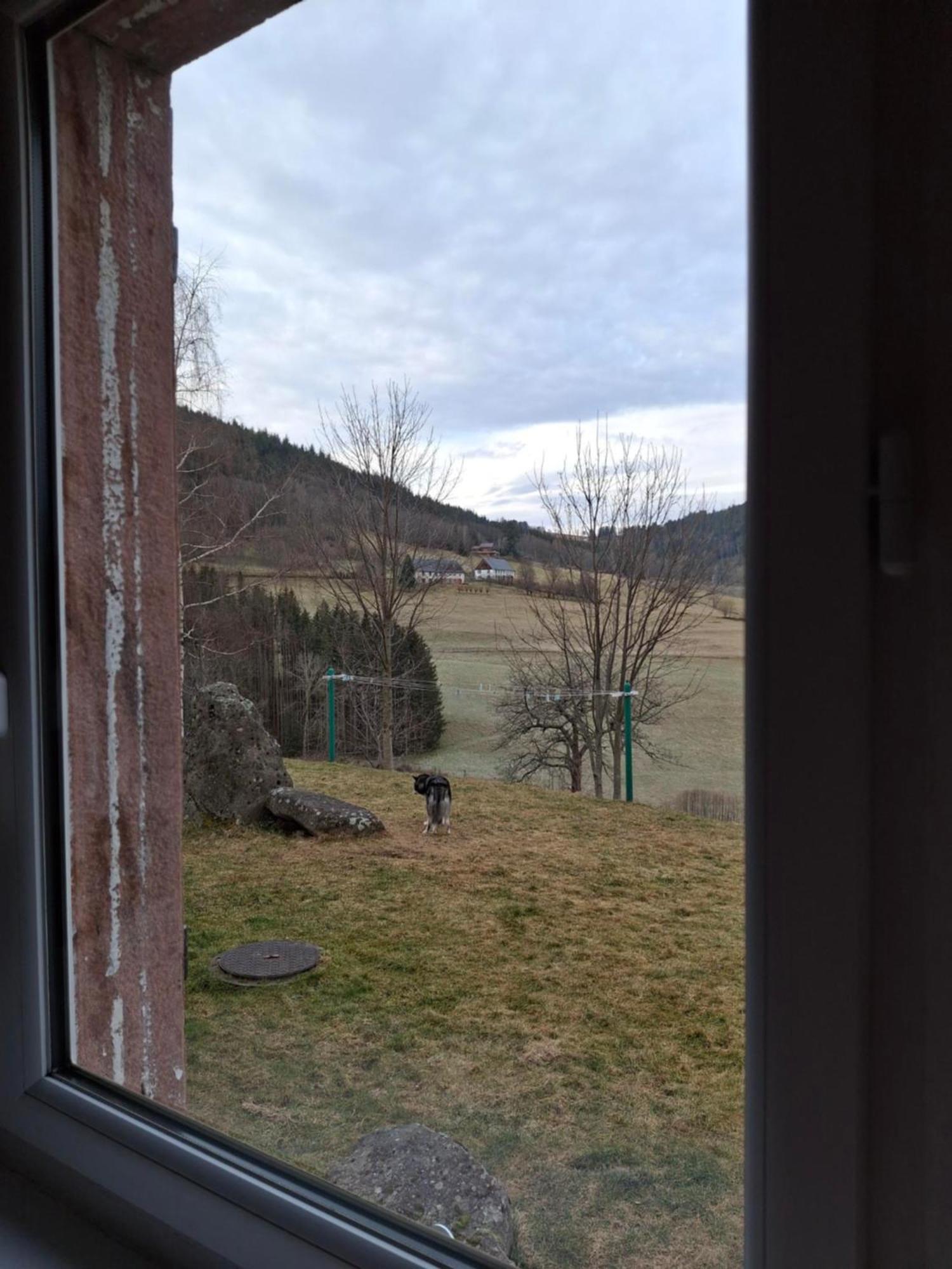 Nordiques De La Welche Villa Orbey Bagian luar foto