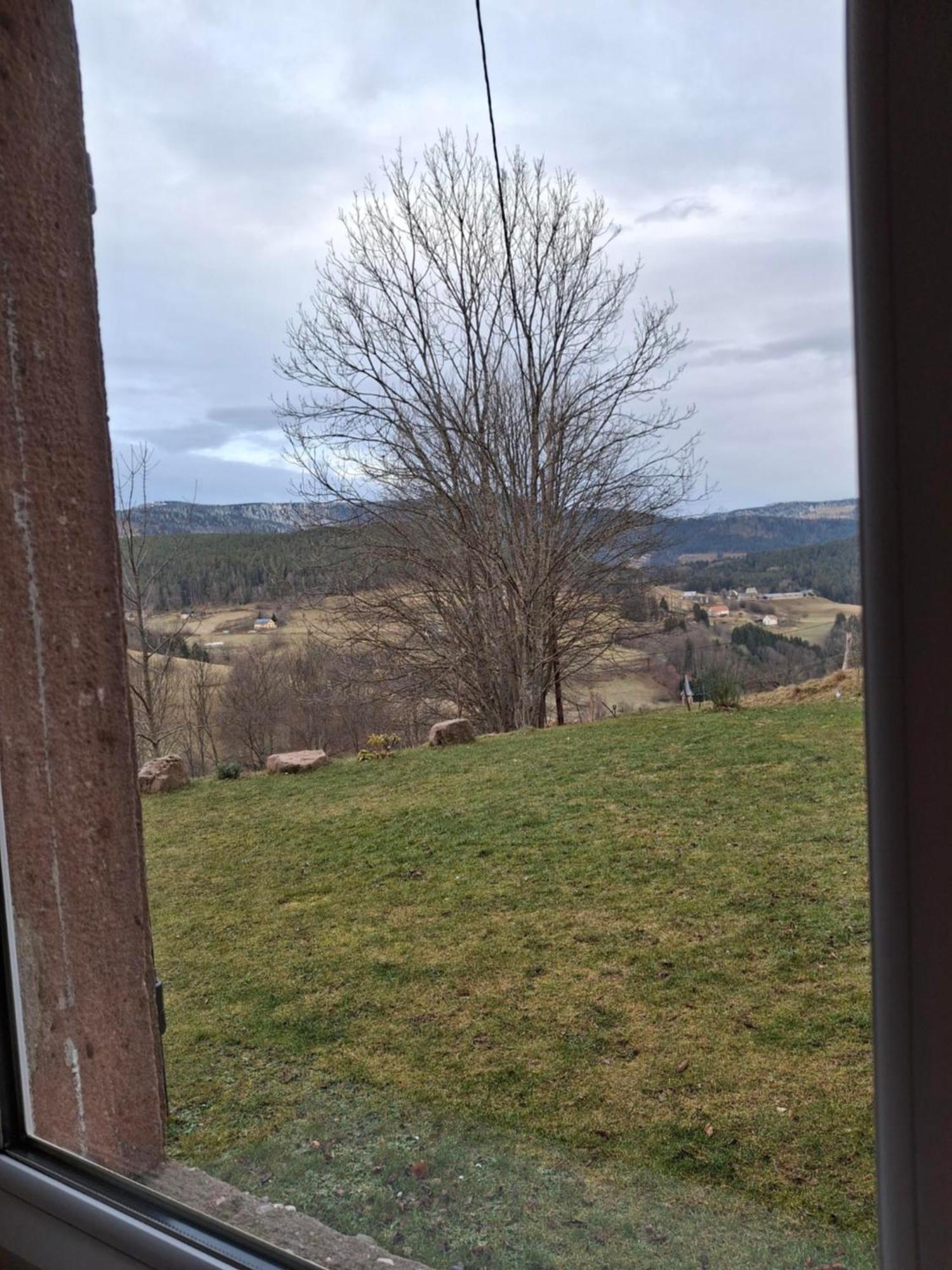 Nordiques De La Welche Villa Orbey Bagian luar foto