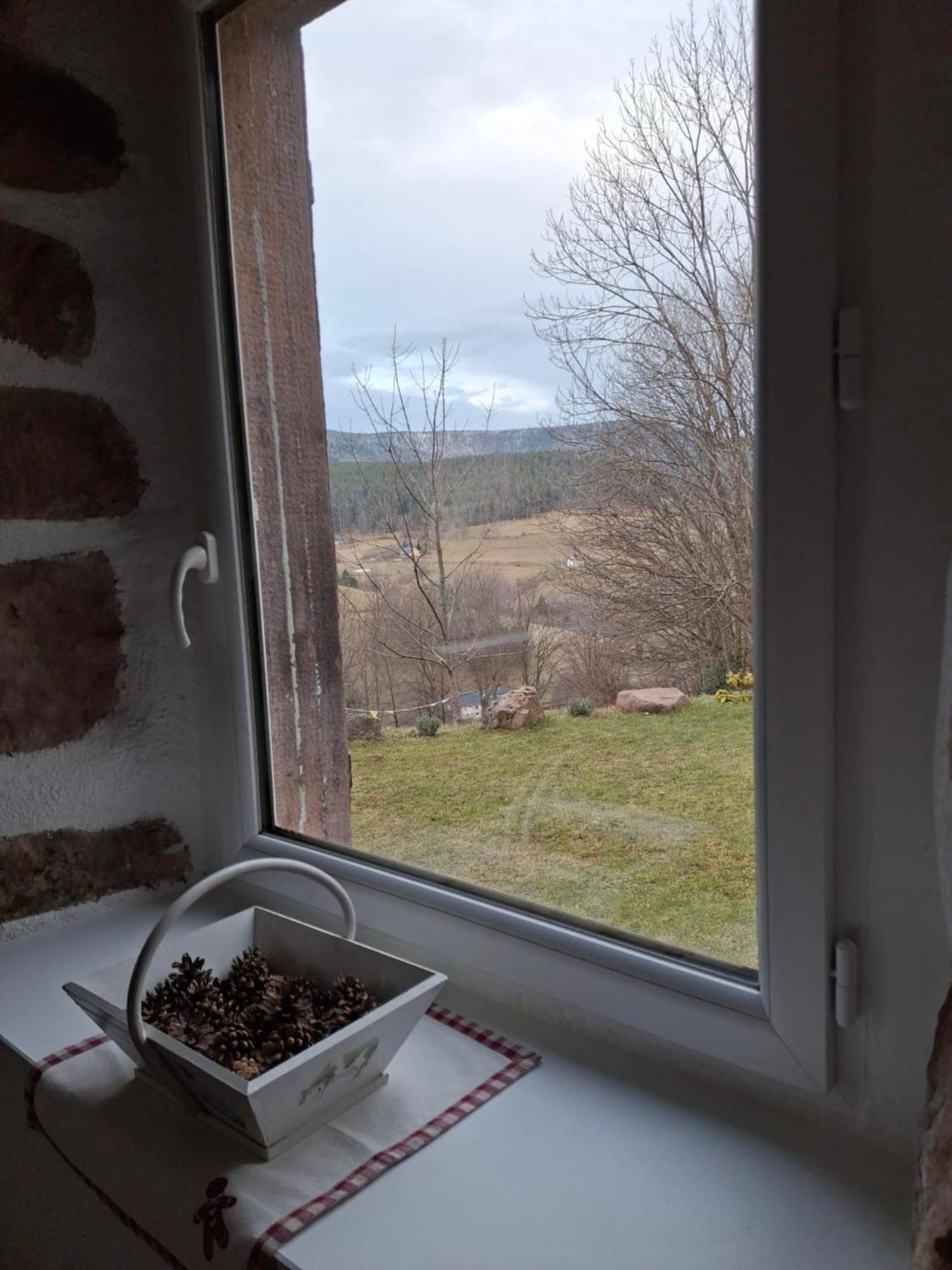 Nordiques De La Welche Villa Orbey Bagian luar foto