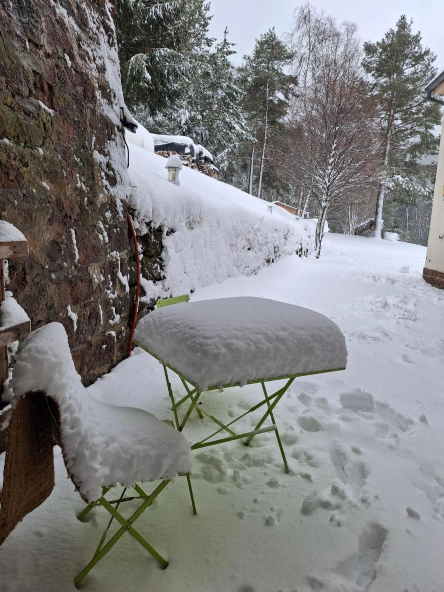 Nordiques De La Welche Villa Orbey Bagian luar foto