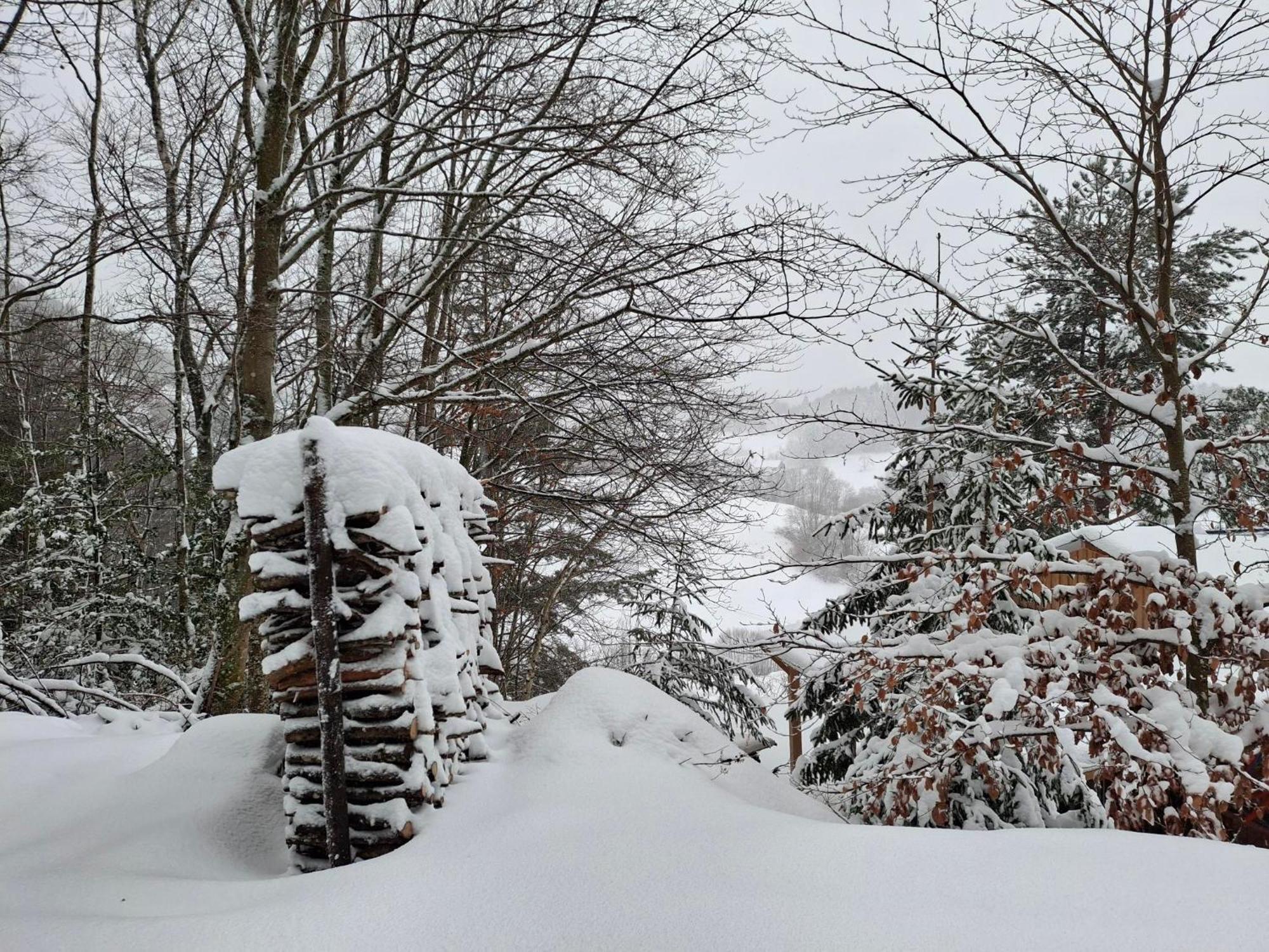 Nordiques De La Welche Villa Orbey Bagian luar foto