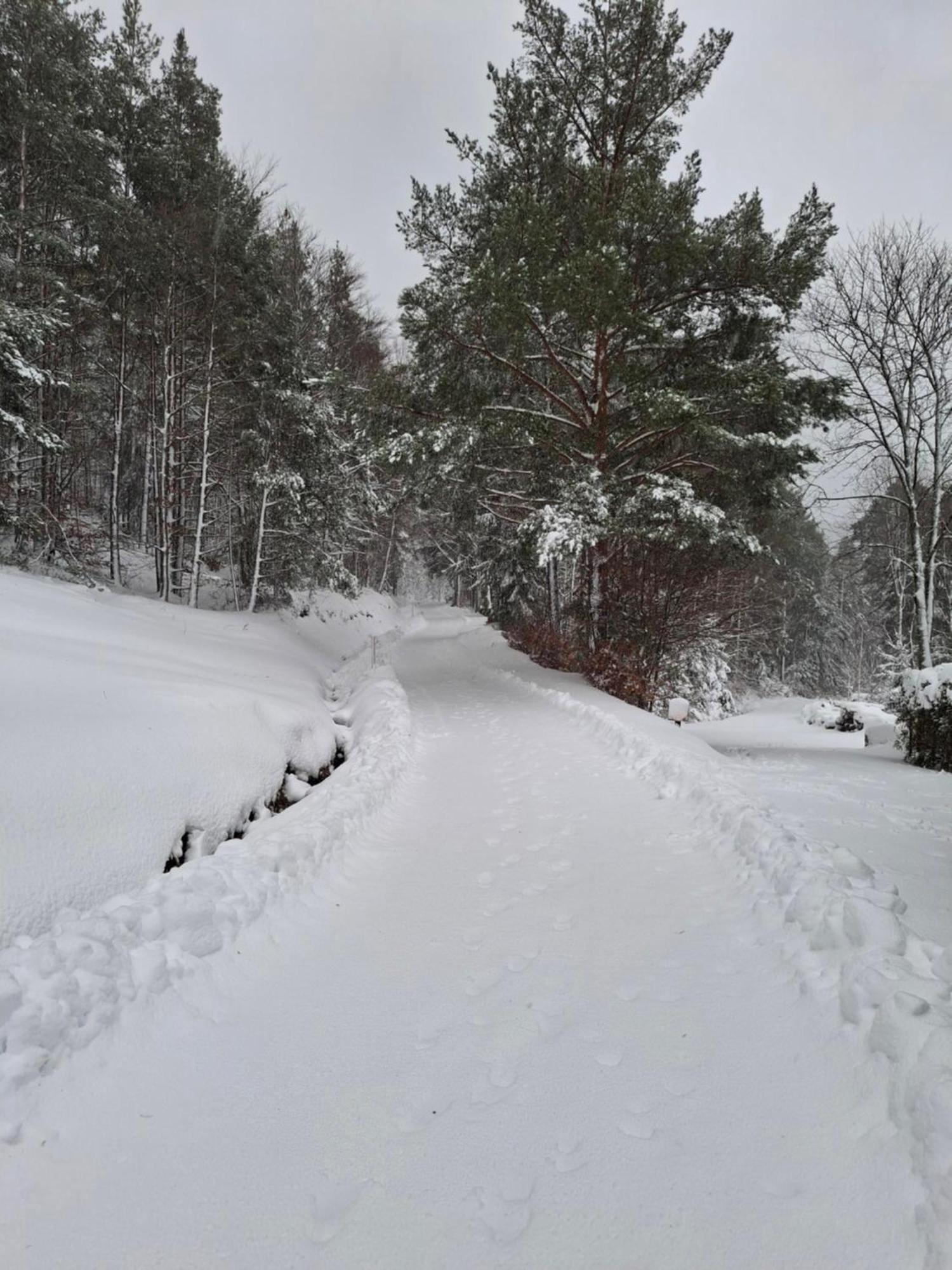 Nordiques De La Welche Villa Orbey Bagian luar foto
