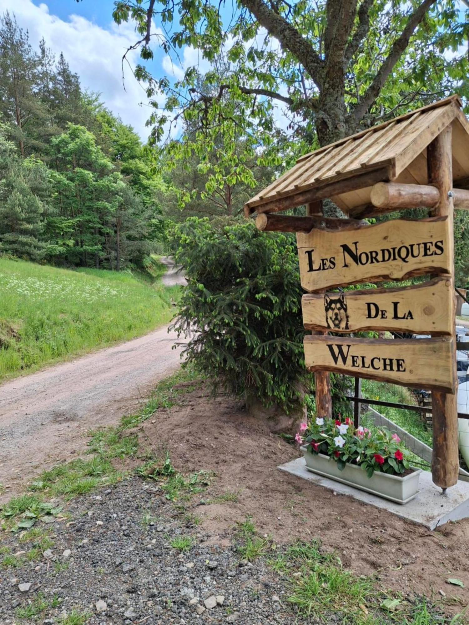 Nordiques De La Welche Villa Orbey Bagian luar foto